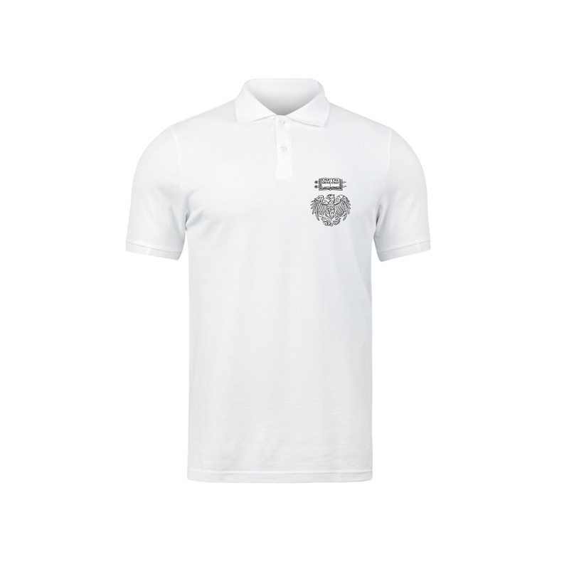 Men's Promotion University Logo Polo with Knitted Design in Customized Fabric